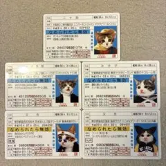 なめ猫 キャラクターグッズ