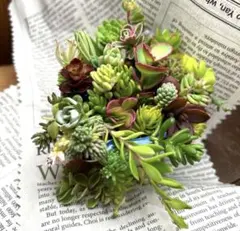 さとりん様専用　2セット