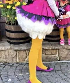 みい様専用ページ　Dハロ　仮装　デイジー　ドナルド