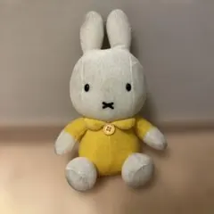 Item thumbnail for item 5aa5781c-a17b-43ca-8e1c-7faf97268743