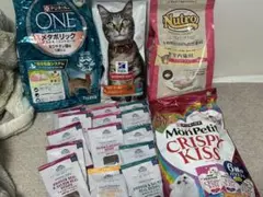 26.12 ヒルズ 成猫 1.5kg マルチケア+デンタル 1歳以上 チキン - メルカリ