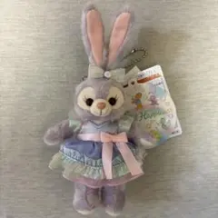 【本文必読】カラフルハピネス　ステラルー　ぬいぐるみバッジ　ダッフィー＆フレンズ