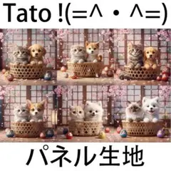 Tato !(=^・^=)パネル生地 竹かごの子猫と子犬 D52