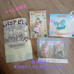 シルバニアファミリー　赤ちゃんペアセット　ののはなウサギキーホルダー　妖精服