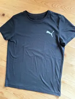 PUMA 黒 Tシャツ ロゴ入り ☆
