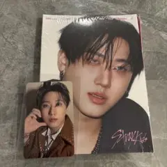 straykids チャンビン karma makestar特典 付