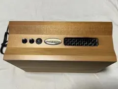 Airpure エアピュア イオン 発生器 本体 木目調 オゾン Airpure エアピュア イオン 発生器 本体 木目調 オゾン - メルカリ