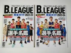 Item thumbnail for item 2d2cf89a-161d-4cf1-ab5a-65728e6ff8bb