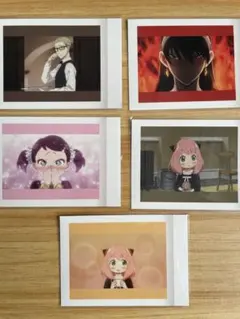 スパイファミリー パシャこれ ロイド ヨル ベッキー アーニャ セット