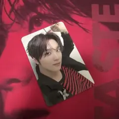 ヘチャン TASTE savory ver トレカ