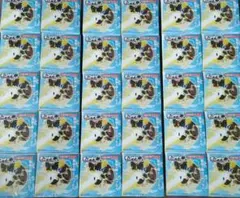 チョコサプ ドラゴンボール2弾×30箱