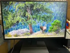 Acer 48.5型4K液晶ディスプレイEB490QKbmiiipfx 中古品 - メルカリ