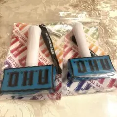 A.H.O.ペンライト 2個セット