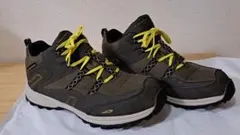 Item thumbnail for item f3b5ecd8-4f3d-4391-943d-68228fa52167