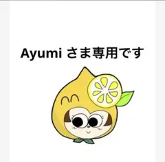 こちらはAyumi 様専用です