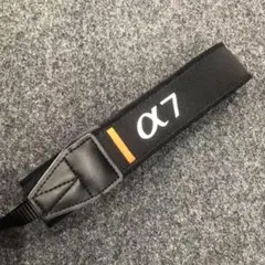 Item thumbnail for item 3c96a651-498d-4e1b-8d49-e59de8319fc9