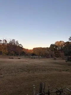 Item thumbnail for item f625469c-d547-4a8c-8fd6-5ad6a30f988c