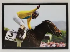 競馬 ウオッカ パネル Record Folder
