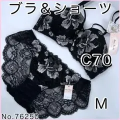 ブラジャーショーツセットC70 No.76250