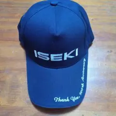 Item thumbnail for item 7ed5139b-4428-4c91-aee4-7075736f3766