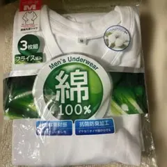 Item thumbnail for item 6162009d-b408-4b39-a9d0-14a87f179d9c