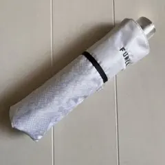 Item thumbnail for item e9e78697-4bb0-4362-a315-75969031f74d