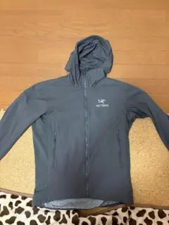 アークテリクス Gamma SL Hoody Pegasus XS 正規品 廃盤 アークテリクス Gamma SL Hoody Pegasus XS 正規品 廃盤 - メルカリ