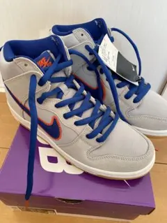 Nike SB スニーカー グレー/オレンジ/ブルー