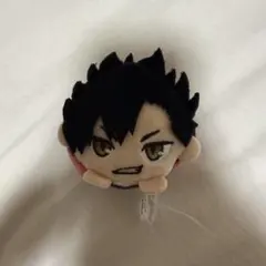 ハイキュー!! 黒尾鉄朗 もちころりん