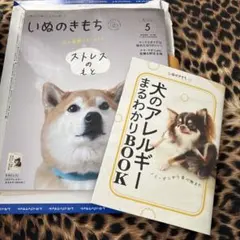いぬのきもち 2024年1月号 - メルカリ