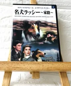 DVD 洋画 名犬ラッシー ～家路～ - メルカリ