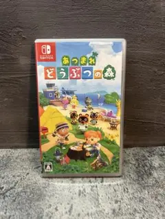 あつまれ どうぶつの森 Nintendo Switch