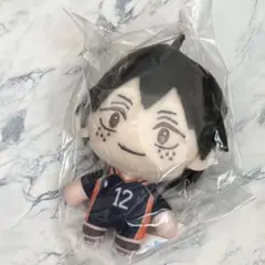 ハイキュー　SEGAラッキーくじ　ぬいぐるみマスコット　山口忠