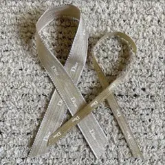 Dior ロゴ入りゴールドリボン 2種類セット