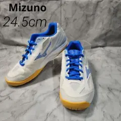 ✨未使用級✨Mizuno バドミントンシューズ ホワイト/ブルー 24.5cm