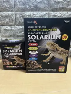 2026年最新】メタハラ 爬虫類の人気アイテム - メルカリ