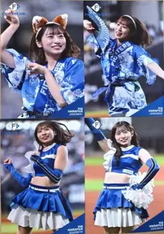 ファイターズガール　原藤由衣　2025フォトカードセット4枚　新品　ゆいゆい