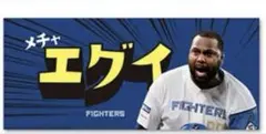 ファイターズ 応援タオル エグイ　レイエス