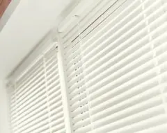 Item thumbnail for item 0702a7cf-a6bb-495b-8b86-ac7fbe65dd94