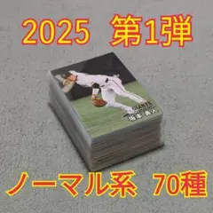 プロ野球チップス2025 第1弾 ノーマル系 70種