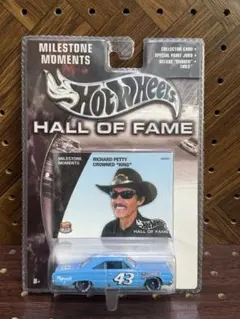 ホットウィール '70 プリマス スーパーバード リチャード ペティ
