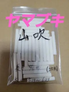 ケンケン様 リクエスト 2点 まとめ商品