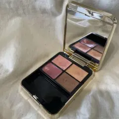 クレドポーボーテ　資生堂　限定オンブルクルールクアドリ503 ケース付き