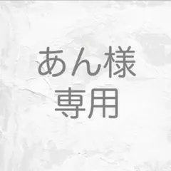 【あん様専用】　ネイルチップ