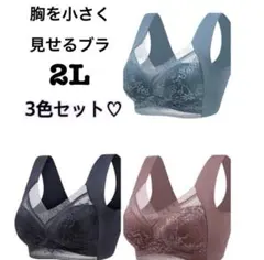 胸を小さく見せるブラ シームレスブラ ノンワイヤー 着痩せ 美胸 レース 2L