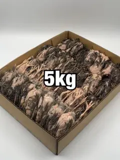 冷凍ウズラ5kg【送料込】のサムネイル