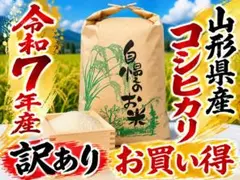 令和７年山形県産　コシヒカリのサムネイル
