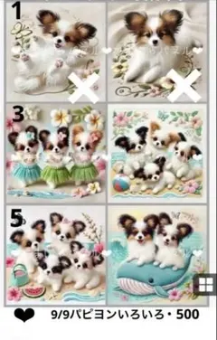 確認用　9/9パピヨンいろいろ・500 限定パネル