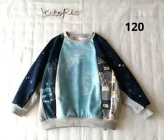 Item thumbnail for item 0f4f1d36-3f12-4e27-b37e-abcd537f8370