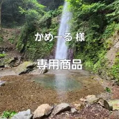 【濃紺】Levi's 501 キムタクモデル フィリピン製 08501 W32